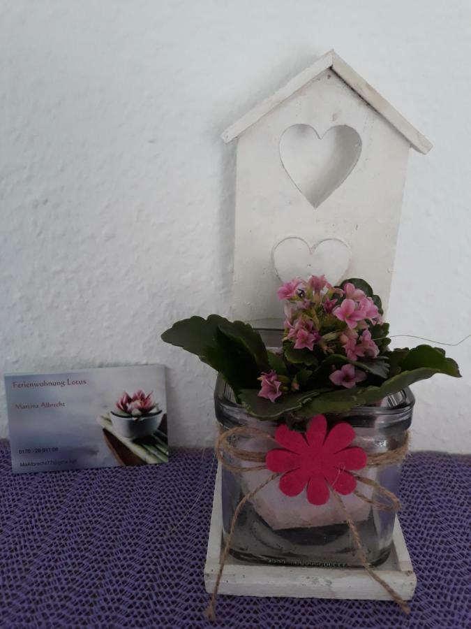 Appartement Lotus à Bad Bellingen Extérieur photo