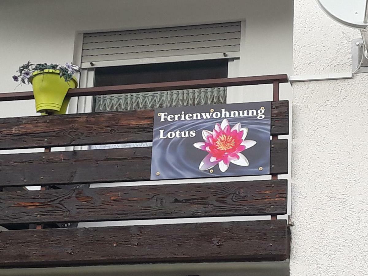 Appartement Lotus à Bad Bellingen Extérieur photo
